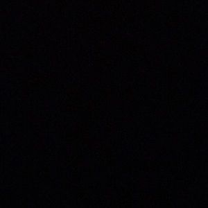 Meet your Posher, Ann